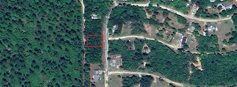 Photo of 0 NE 213 Avenue, Fort Mccoy, FL 32134 (MLS # W7886053)