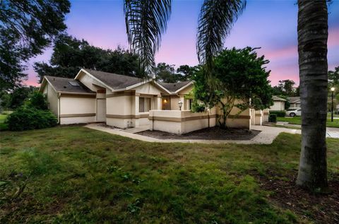 13103 EDBERG COURT ORLANDO FL 32824