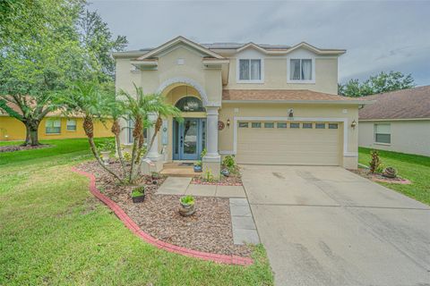 10427 LUCAYA DRIVE TAMPA FL 33647