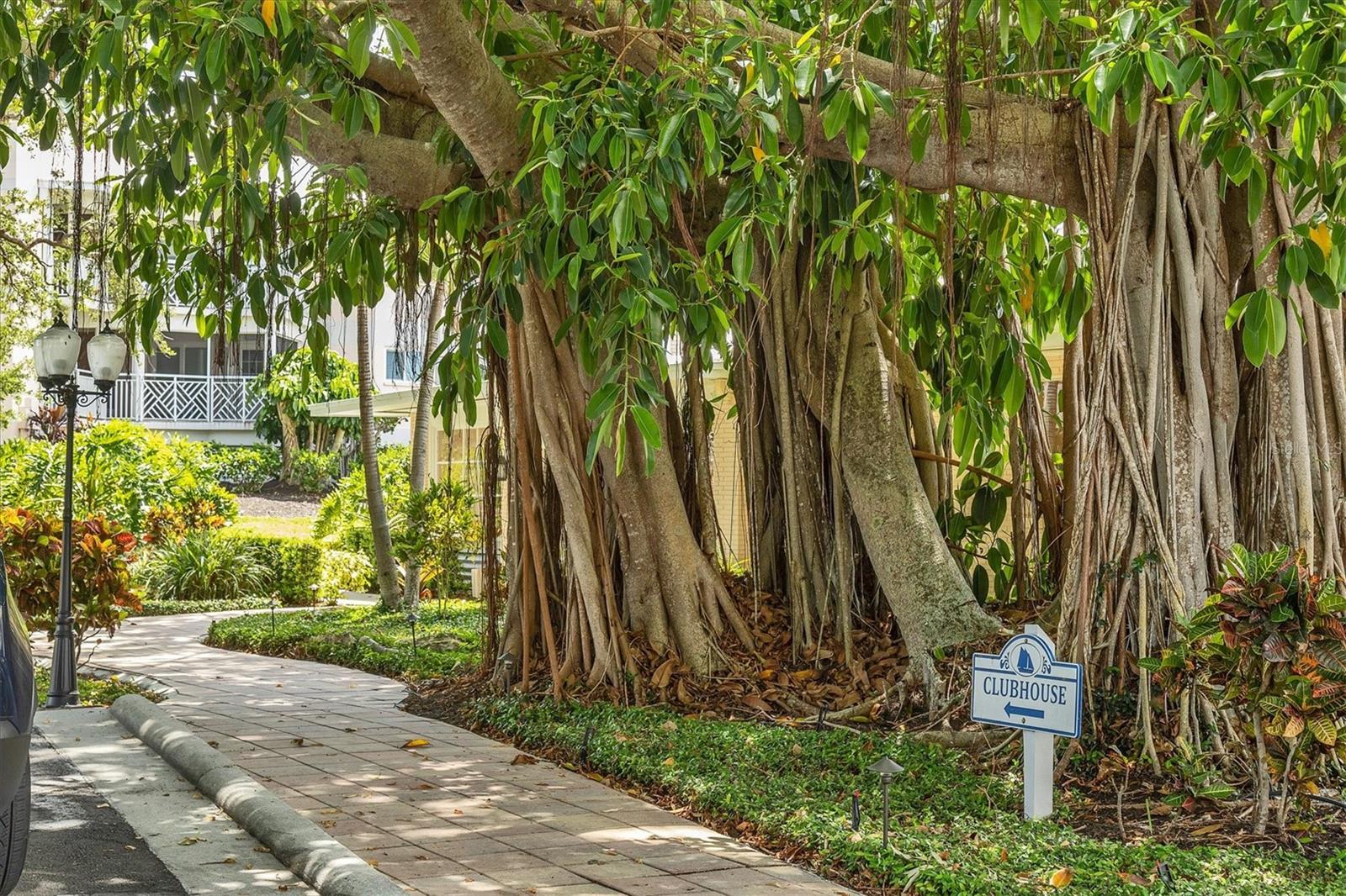 PLACIDA HARBOUR SEC 03 BLDG 03 - Residential