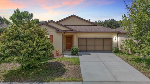 15682 STONE HOUSE DRIVE BROOKSVILLE FL 34604
