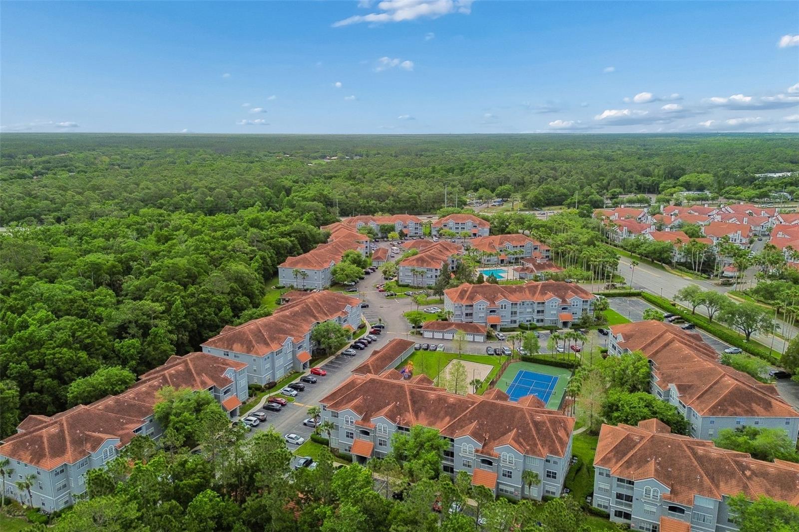 THE ENCLAVE AT RICHMOND PLACE - Residential