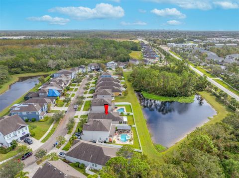 A home in TAMPA