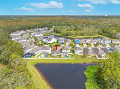 A home in TAMPA