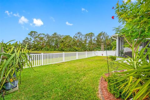 A home in TAMPA