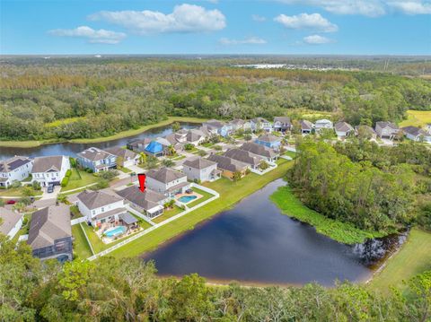 A home in TAMPA