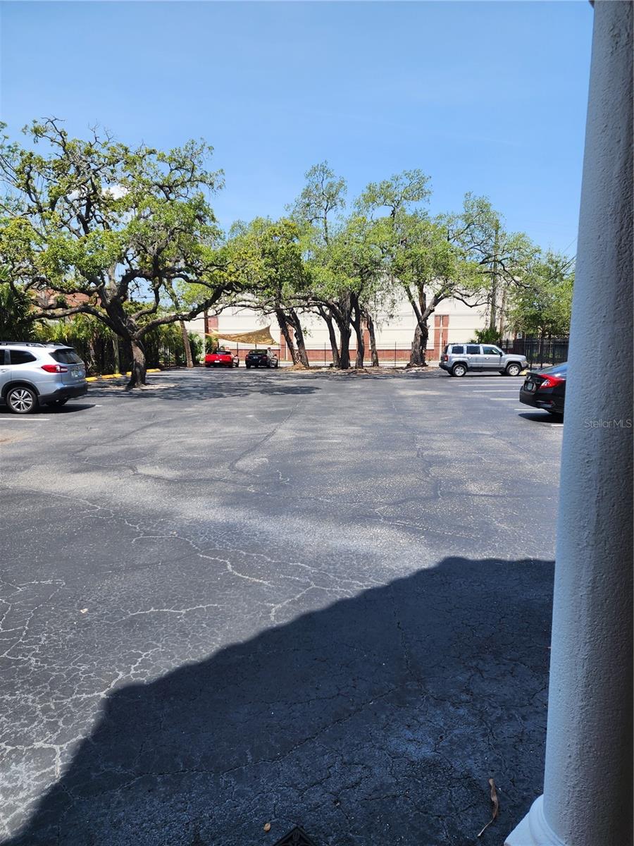 BAYWOOD - Commercial Lease