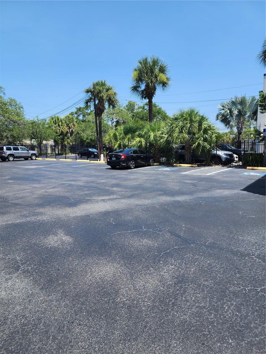 BAYWOOD - Commercial Lease