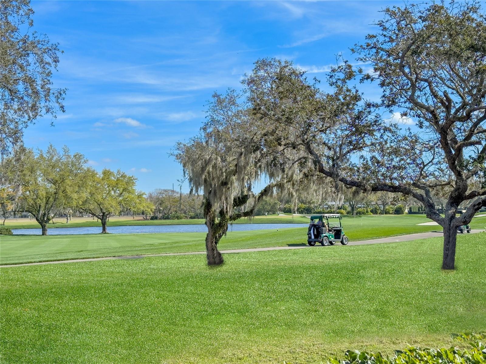 BAY HILL - Residential