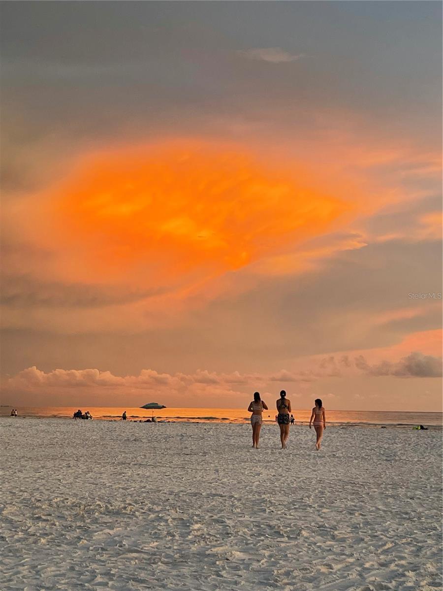 8658 - THE STRAND OF SARASOTA - Residential Lease