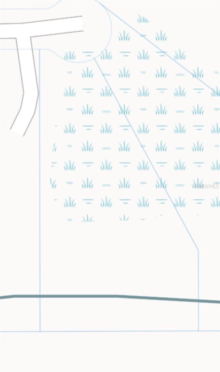 CAPE ORLANDO ESTATES - Land