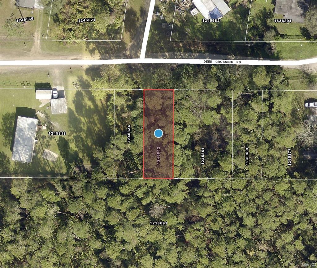 Photo of Tbd Deer Crossing Road, Altoona, FL 32702 (MLS # TB8470595)