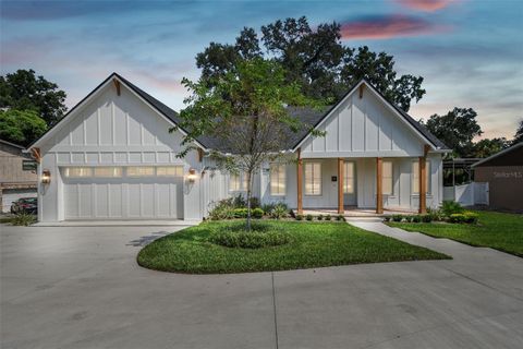 A home in MOUNT DORA