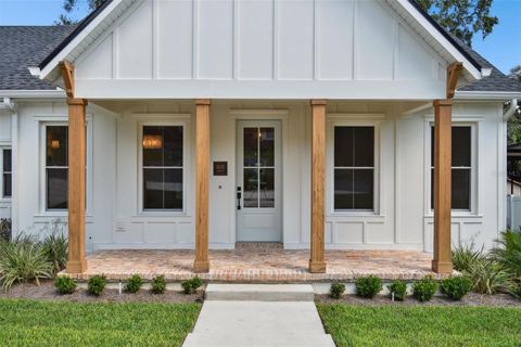 A home in MOUNT DORA