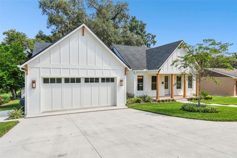 A home in MOUNT DORA