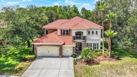 Photo of 9137 Creedmoor Lane, New Port Richey, FL 34654 (MLS # OM727518)