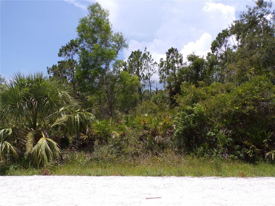 This lot is in Tropical Gulf Acres this is a great place to build your dream home and retire or raise your family. Bissett Park is a great county ran community park within this neighborhood with tennis, basketball, shuffle board courts, horseshoe area, picnic, playground and waterfront area . Less than 3 miles to I75 makes this location a easy commute to almost anywhere, and only 10 miles to Ponce De Leon Park with amazing sunsets, and only 8 miles Punta Gorda Historic district and waterfront park with lots of shopping and dining options. Tampa Bay Rays spring training and the fairgrounds are just minutes away, also multiple golf courses and some of the best boating and fishing in all of Florida. Red Soxs, Orioles, Twins and Braves spring training all within a hour’s drive. Buyer and buyers rep responsible for determining environment conditions and endangered species restrictions. This lot is priced to sell so please call for availability! This lot is at a great price point for the investor call today.