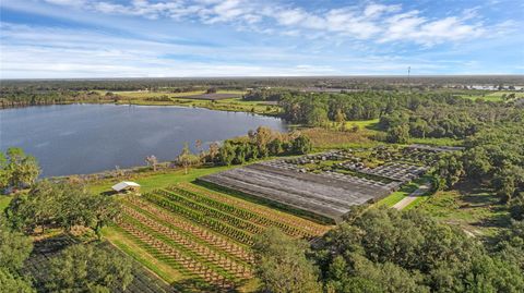 00 MCBRIDE ROAD SEVILLE FL 32190