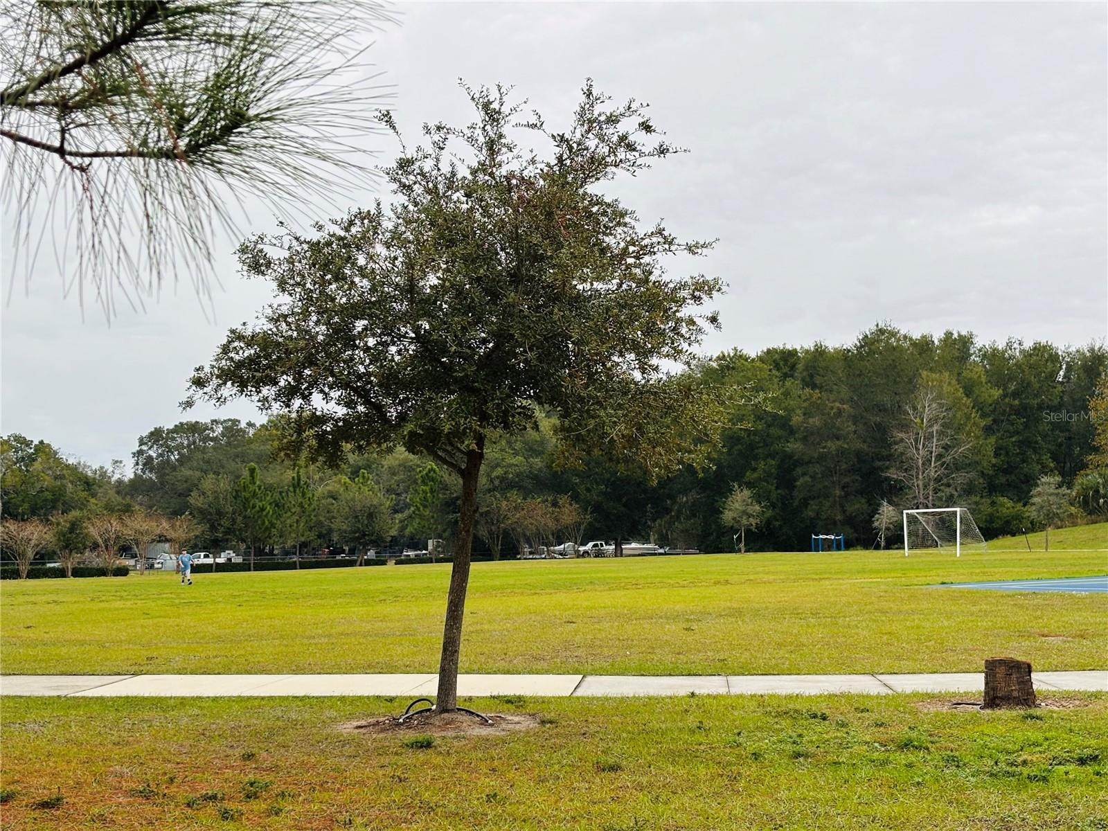 SUMMERVIEW/WOLF CRK RDG PH 2B- - Residential