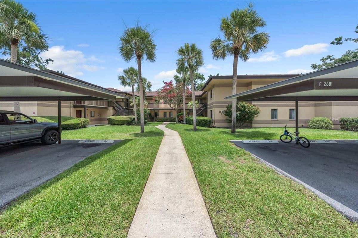 2681 SABAL SPRINGS CIRCLE 204