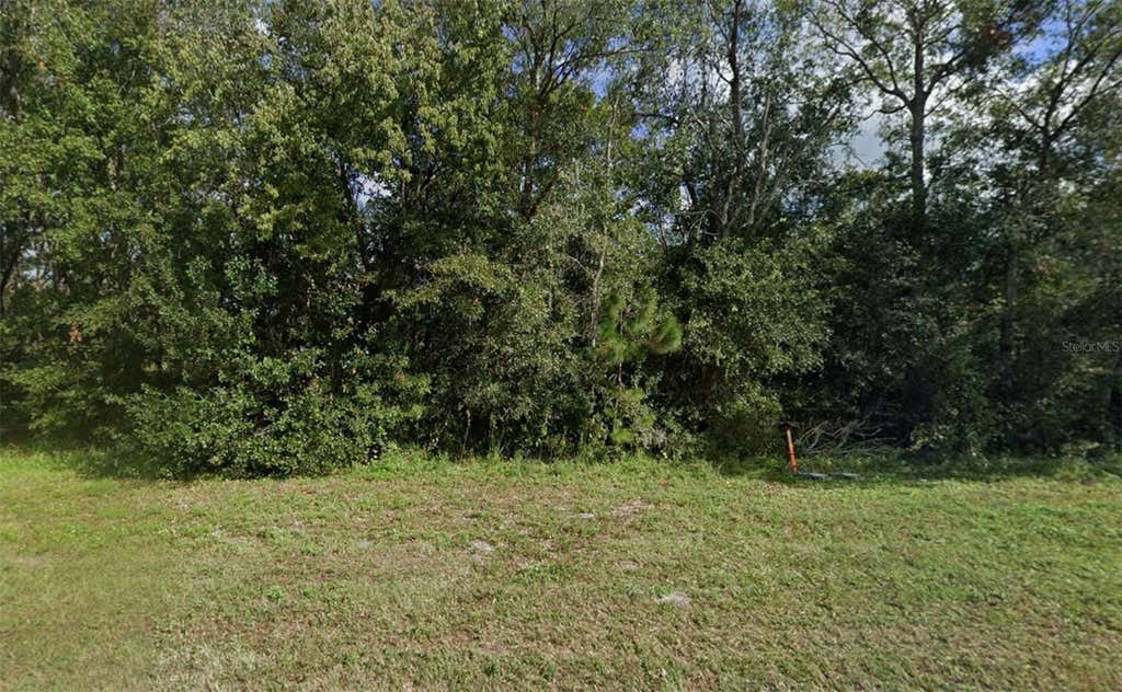 Photo of 252 Commonwealth Avenue N, Polk City, FL 33868 (MLS # W7888289)