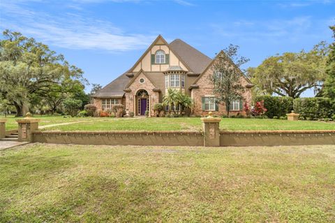 A home in PLANT CITY