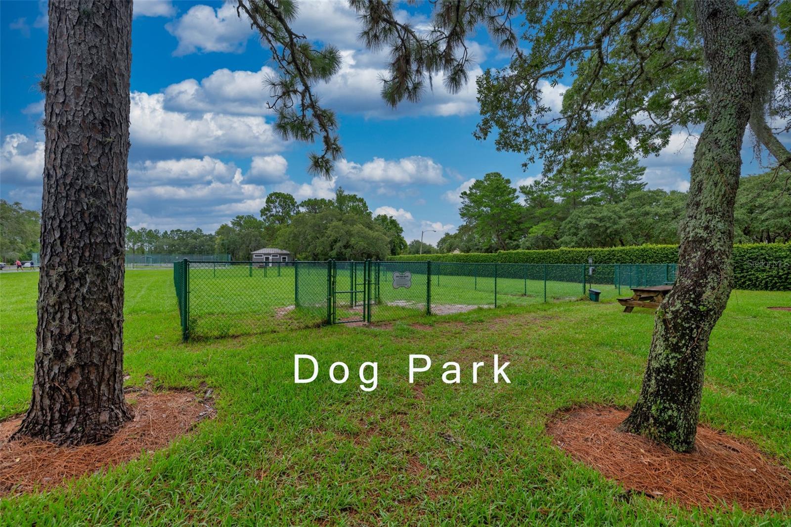 GLEN LAKES PH 1 - Residential