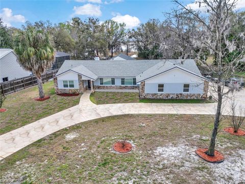 Tiny photo for 223 S Nesbitt Terrace, Inverness, FL 34450 (MLS # OM714065)