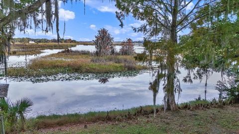 Tiny photo for 223 S Nesbitt Terrace, Inverness, FL 34450 (MLS # OM714065)