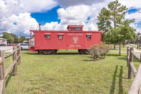 Tiny photo for 223 S Nesbitt Terrace, Inverness, FL 34450 (MLS # OM714065)