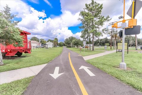 Tiny photo for 223 S Nesbitt Terrace, Inverness, FL 34450 (MLS # OM714065)