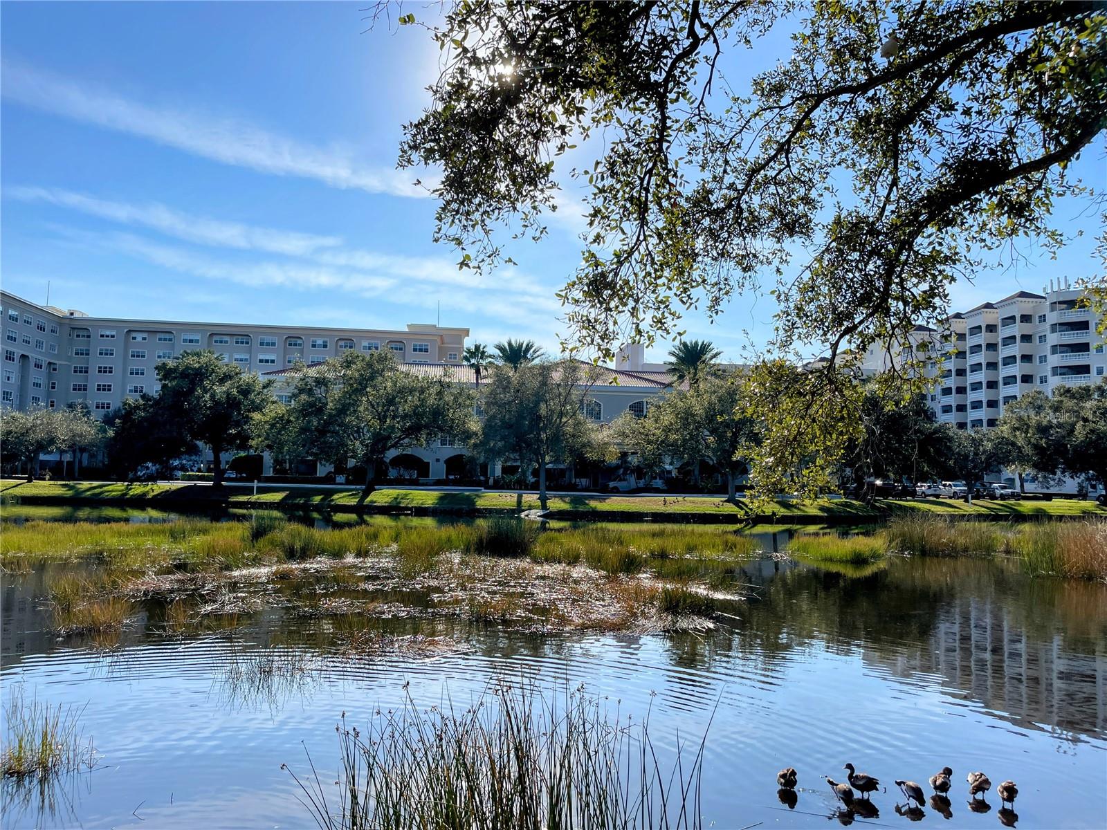 WOODMERE AT JACARANDA - Residential Lease