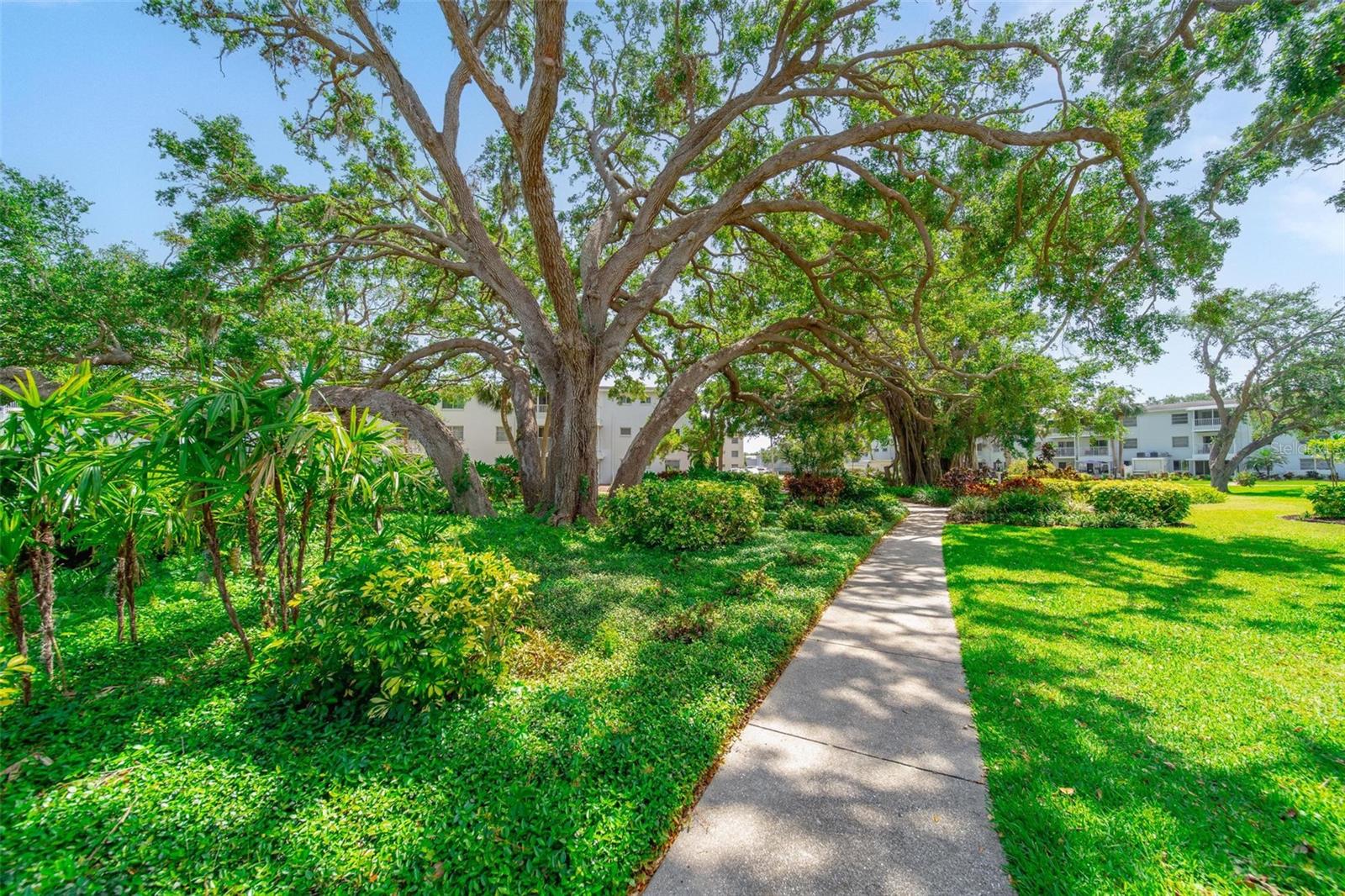 THE FOURTH BAYSHORE - Residential