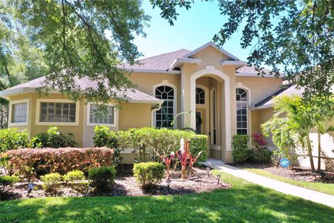 A home in SEFFNER