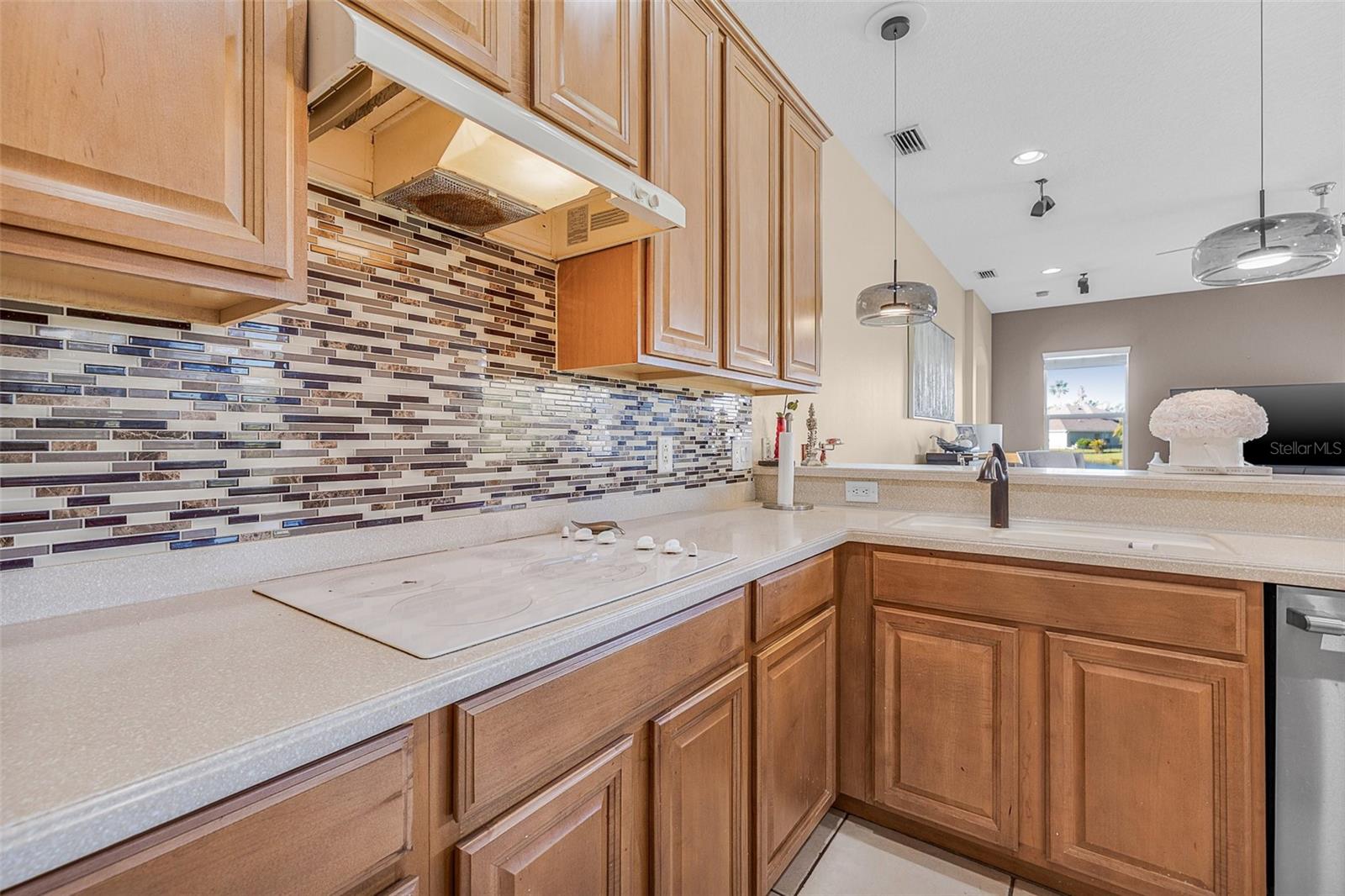 OAKLEAF HAMMOCK - Residential