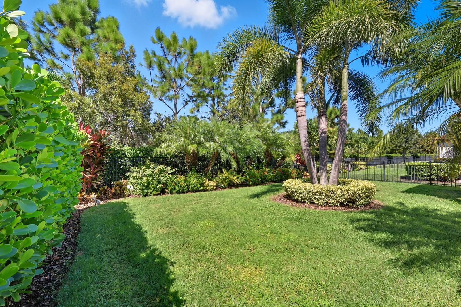 ARBOR GRANDE - Residential
