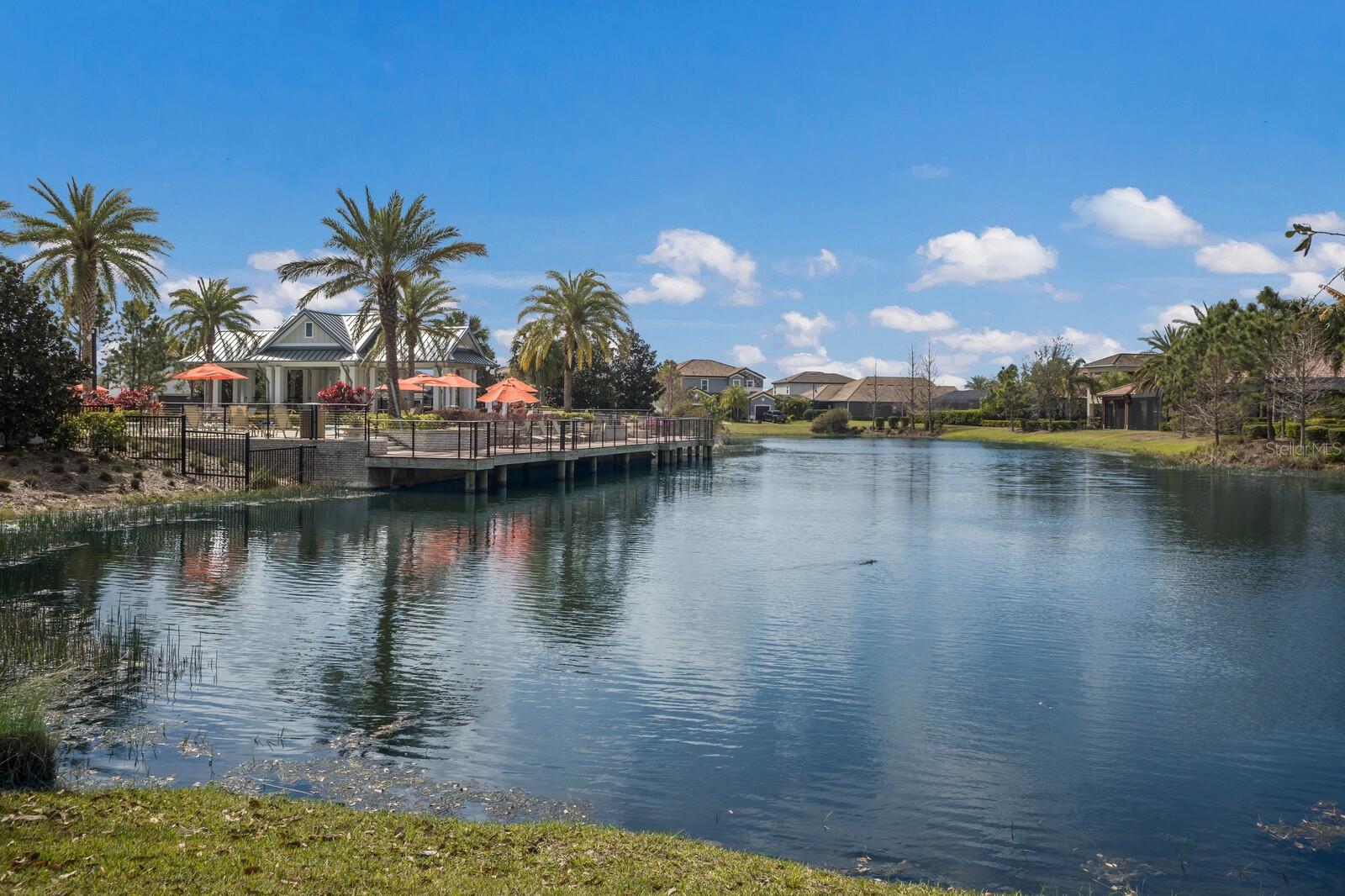 ARBOR GRANDE - Residential