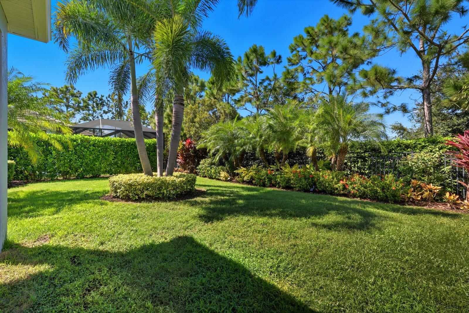 ARBOR GRANDE - Residential
