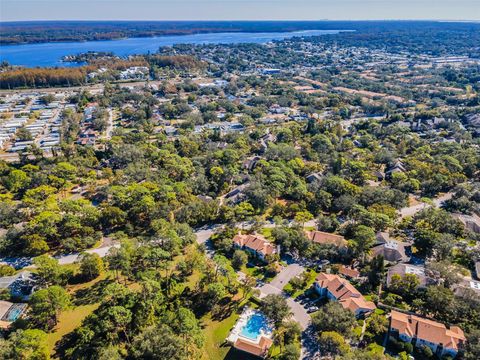 A home in PALM HARBOR