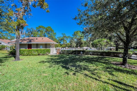 A home in PALM HARBOR