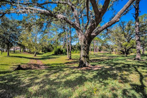 A home in PALM HARBOR