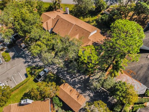 A home in PALM HARBOR