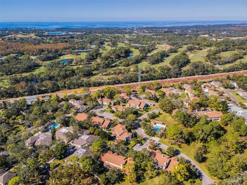 A home in PALM HARBOR