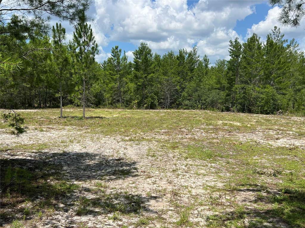 Photo of 179th Place, Archer, FL 32618 (MLS # GC542196)