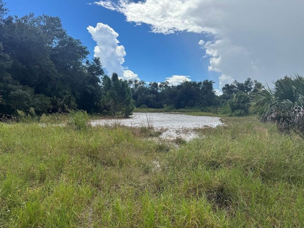Photo of 20033 Buchanan Avenue, Port Charlotte, FL 33954 (MLS # C7515292)