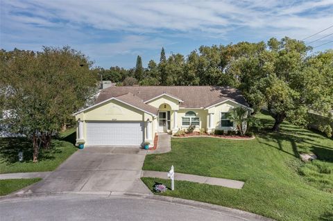 A home in NEW PORT RICHEY