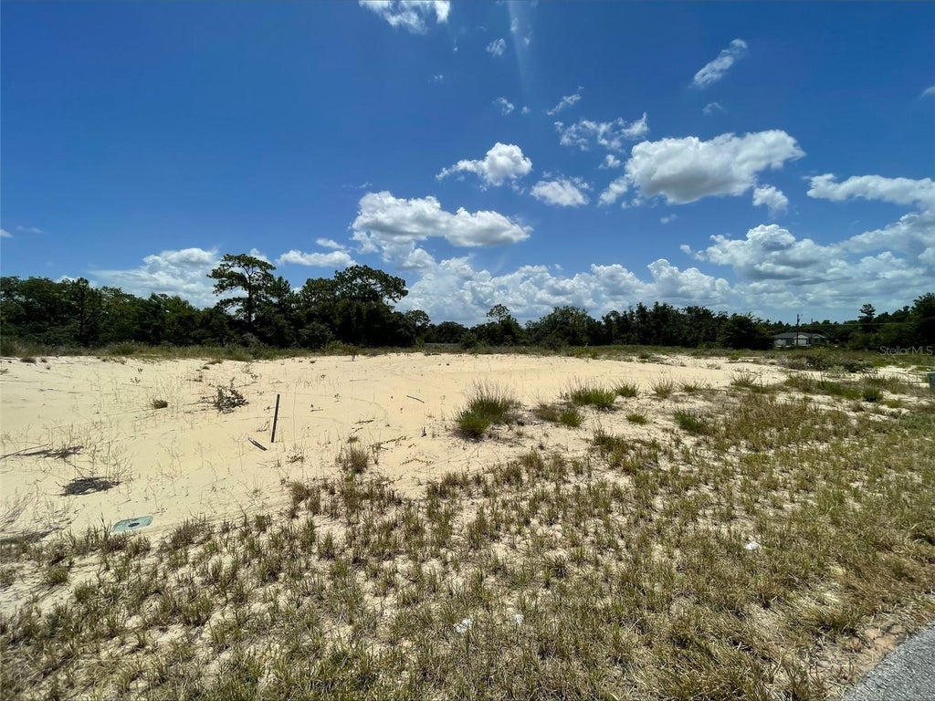 Photo of 1344 Homosassa Court, Poinciana, FL 34759 (MLS # O6424676)