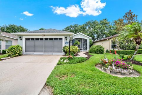 Photo of 27302 Stoney Brook Drive, Leesburg, FL 34748 (MLS # G5097889)
