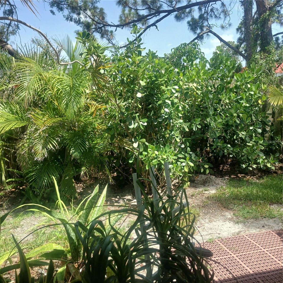 WOODSIDE TERRACE PH 2 - Residential