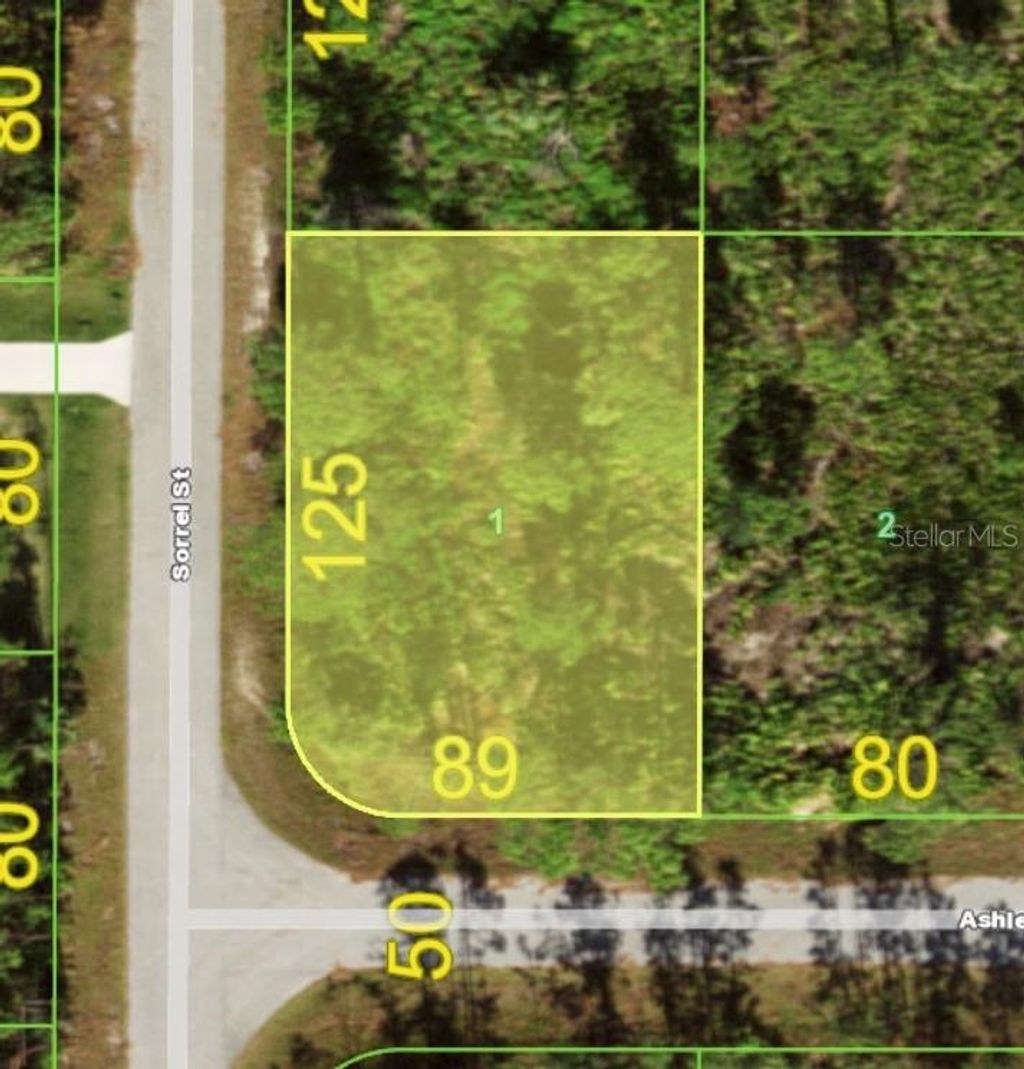 Photo of 12070 Ashley Avenue, Port Charlotte, FL 33981 (MLS # C7525363)